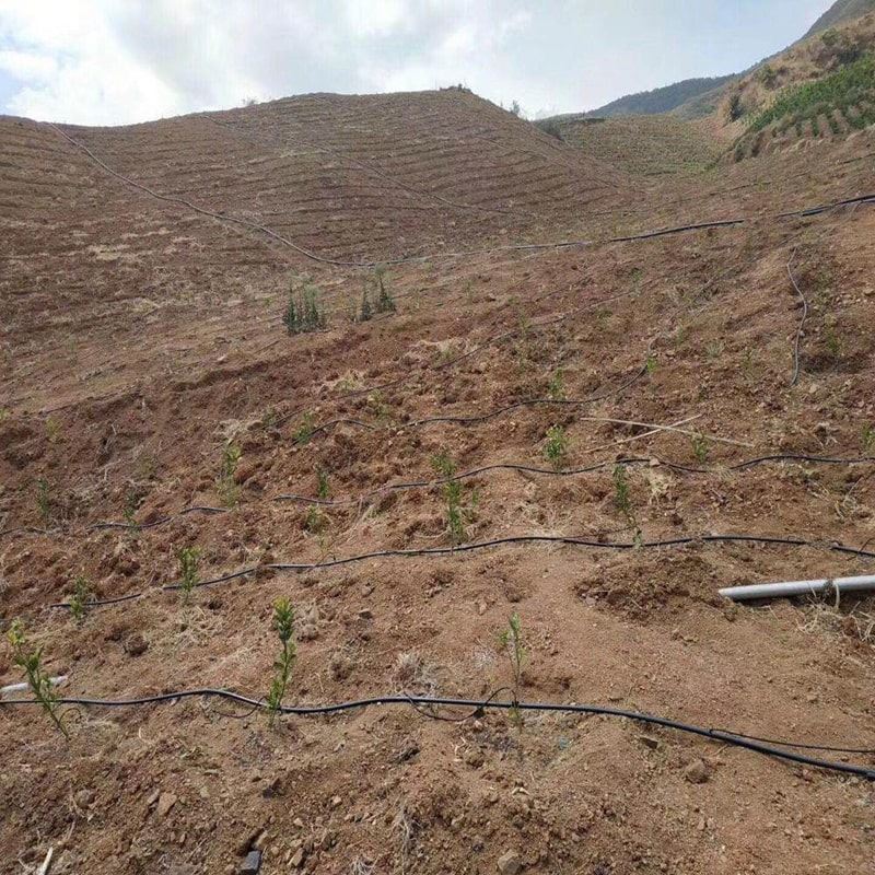 drip-irrigation-tubing-with-compensating-emitters