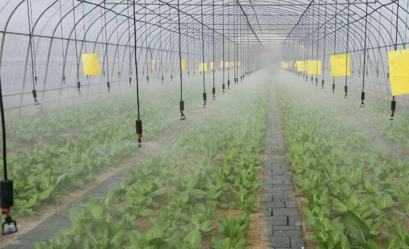 Greenhouse overhead irrigation