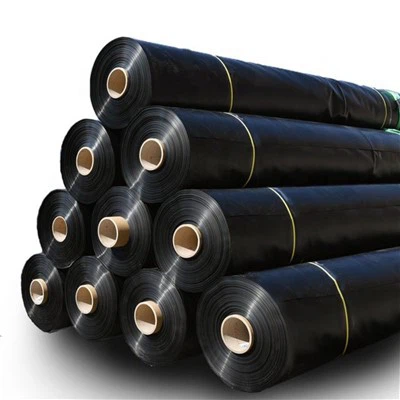 HDPE Geomembrana za odlagališča, ribogovne kmetije, rudarjenje in rezervoarje - na voljo v 0. 5 mm, 1 mm, 1,5 mm, 2 mm debeline 2 mm